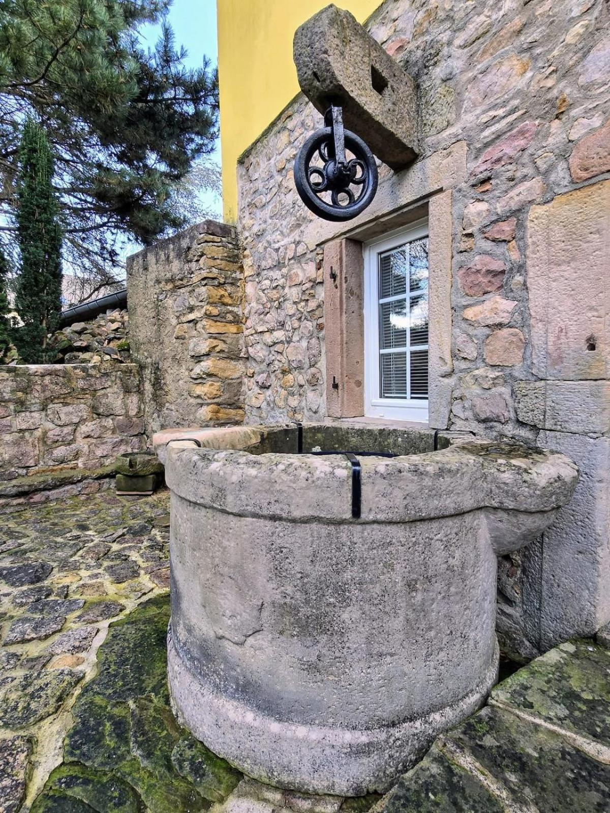 Studio Route Des Vins D 'Alsace Eichhoffen Bagian luar foto